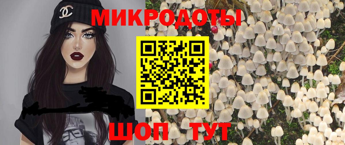 Псилоцибиновые грибы Psilocybe  Вход с VPN  Псилоцибиновые грибы прущие грибы  Камышин 