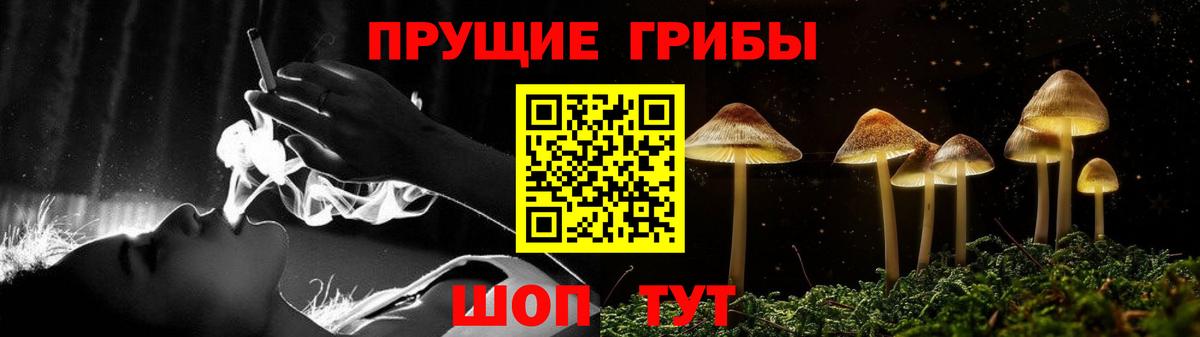 Псилоцибиновые грибы мухоморы Камышин